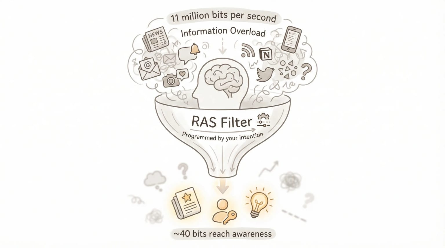 The RAS: how intention reprograms your brain's filter, from 11M bits/sec down to ~40